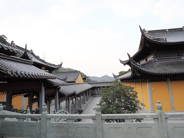 寺院園林植物配置的文化意境，象征性樹種選擇與景觀季相變化設(shè)計